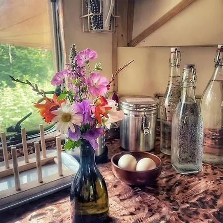 Apartamento Truck & Pod Creative Nature Retreat.